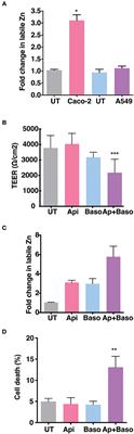 Zinc Chelation Specifically Inhibits Early Stages of Dengue Virus Replication by Activation of NF-κB and Induction of Antiviral Response in Epithelial Cells